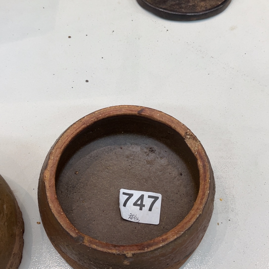 瓷片开播福利小钵口有伤747号