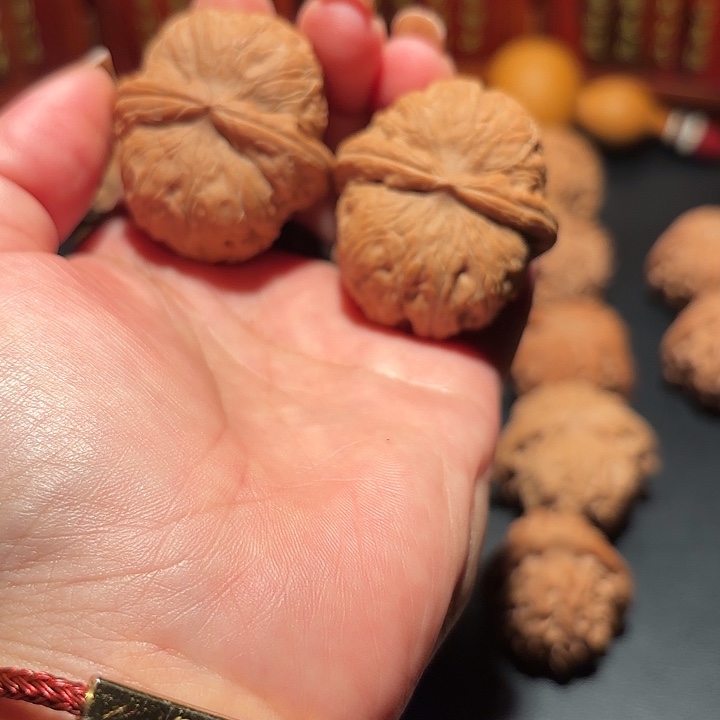 菠***看大叶紫檀（黑酸枝木类）