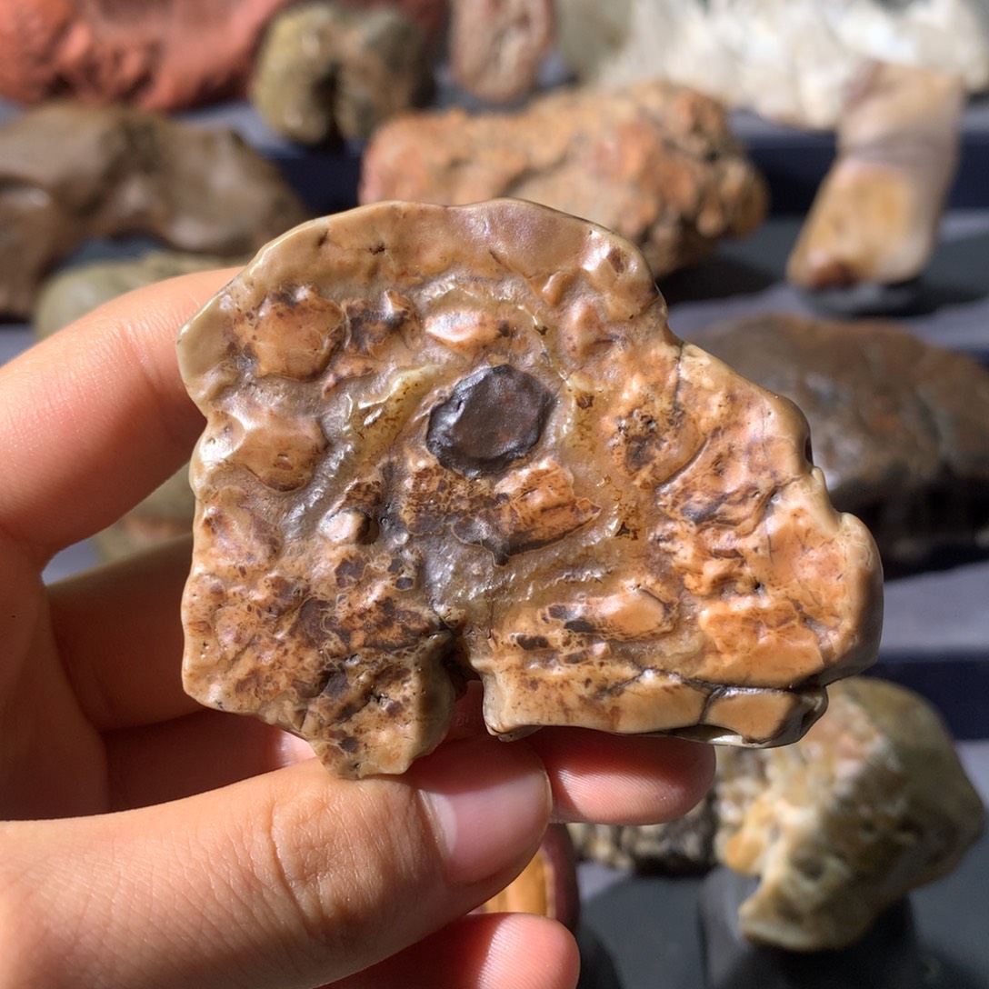 有机玻璃86阿拉善奇石