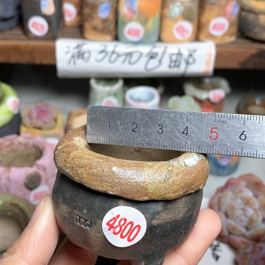 红陶拍5送一个小