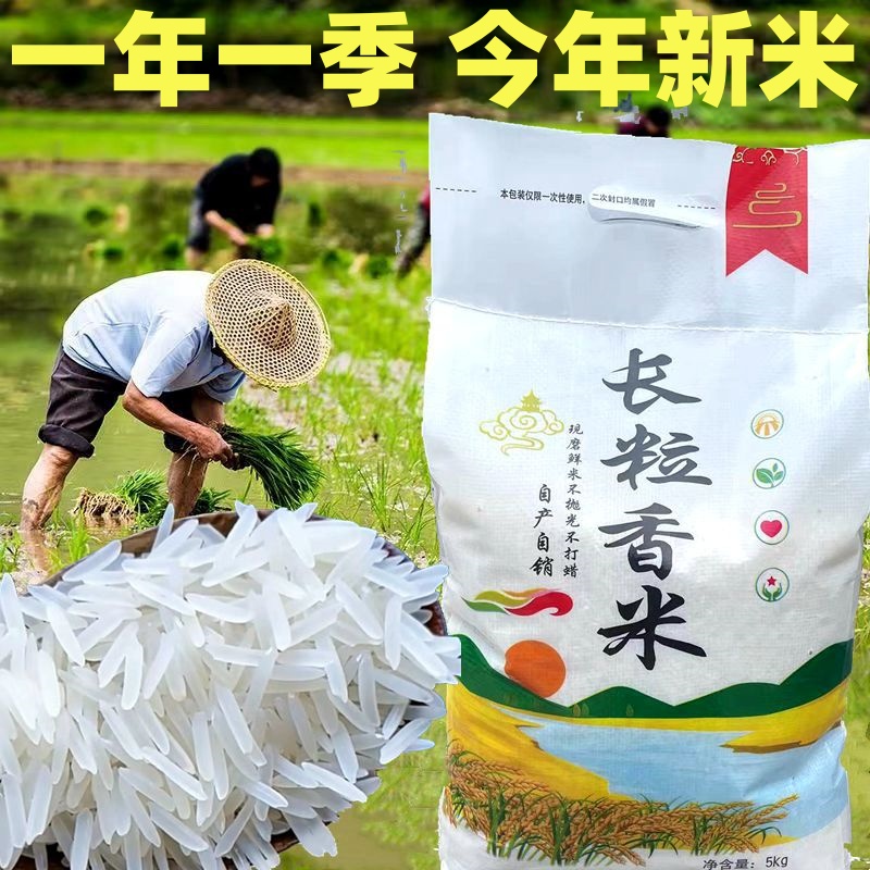 2024贵州梯田长粒香米一年一季农家米长粒香大米软糯新鲜营养10斤