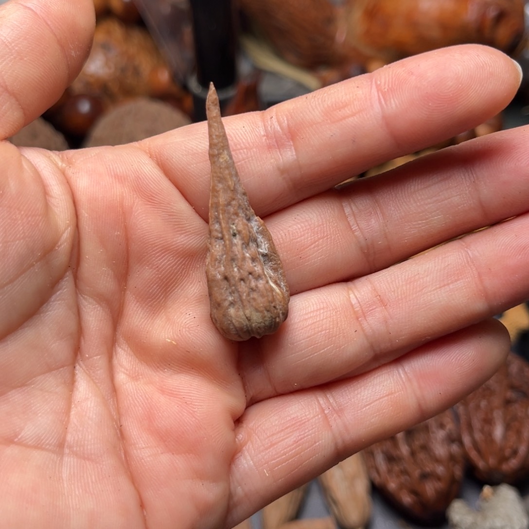 手串文玩核桃核桃43 