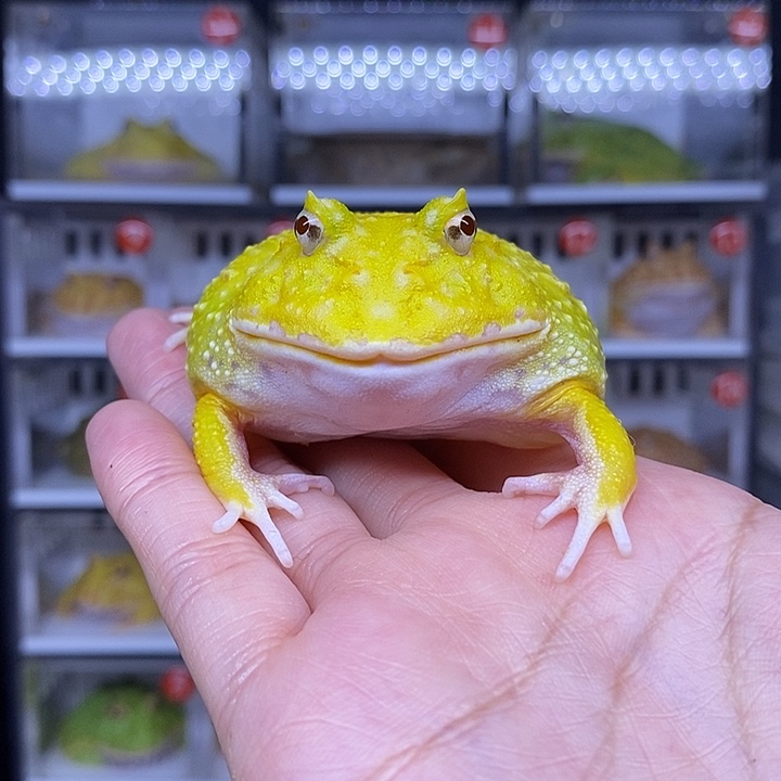 特价秒杀活动地址