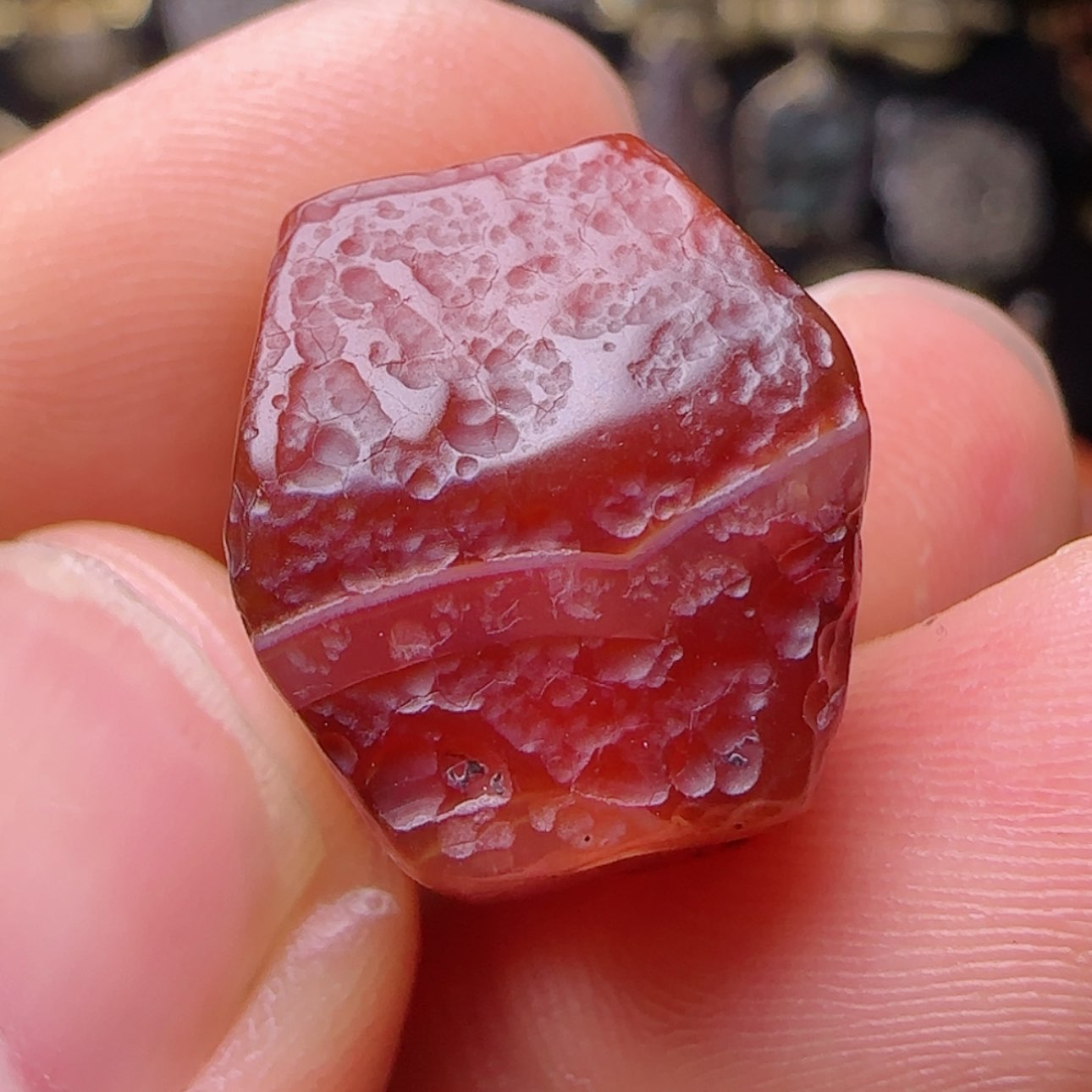 【闪购商品】吊坠凤眼菩提老老老