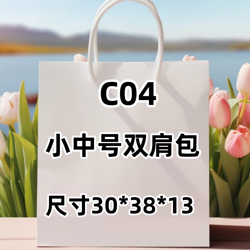 C04《小中号双肩包》