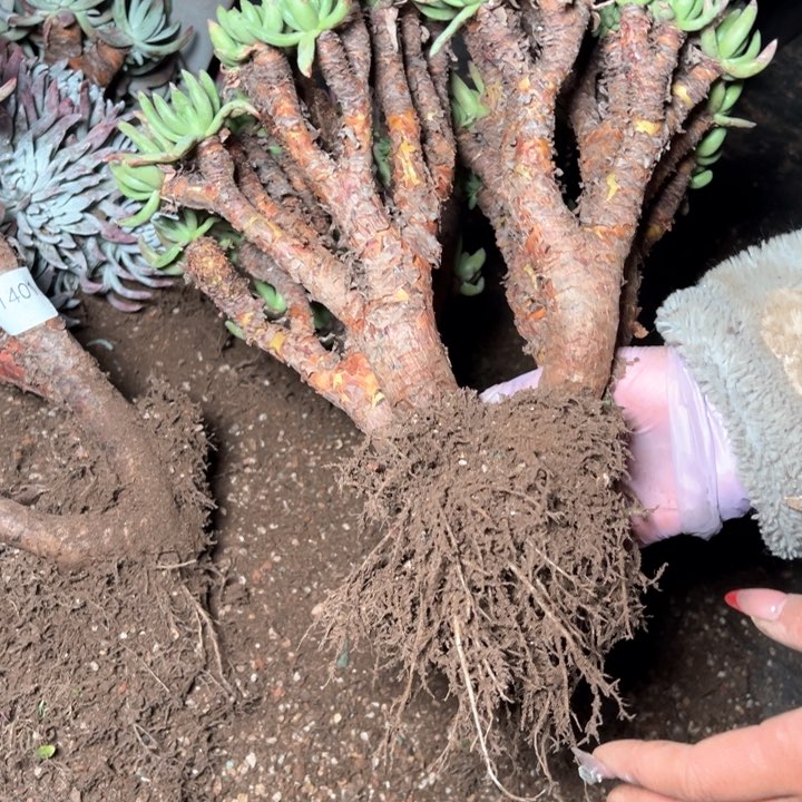 1403哈哈哈哈哈哈哈哈