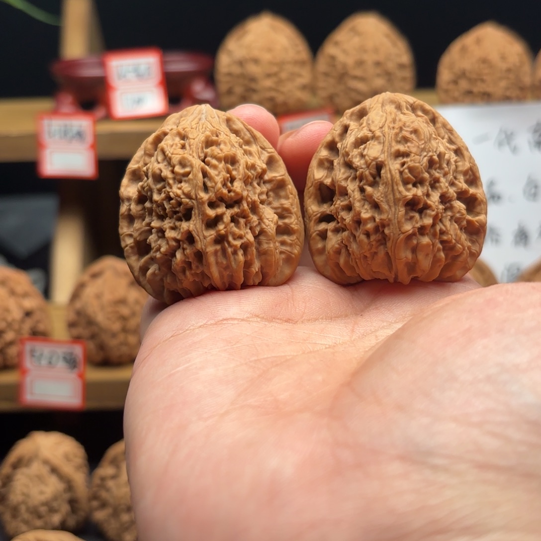 将****核桃涿鹿南疆一代