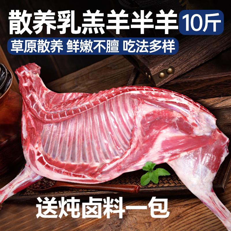 【双十二】散养乳羔羊半只羊10斤部位分割羊排羊腿羊蝎子家庭食材
