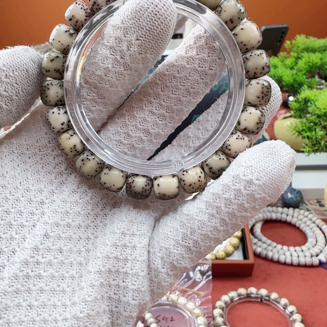 星月菩提吊坠卡10河豚T3