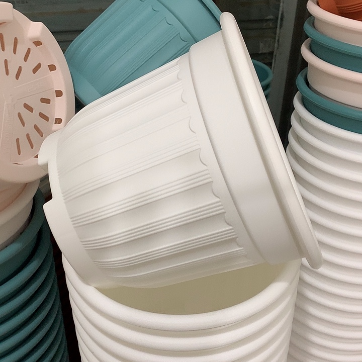 罗马口24高20白4个