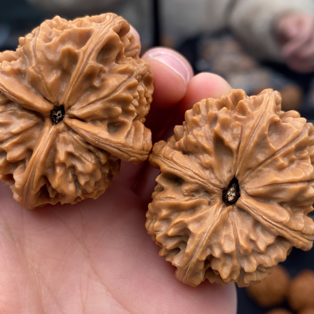 文玩核桃把件朱****╲44加四棱