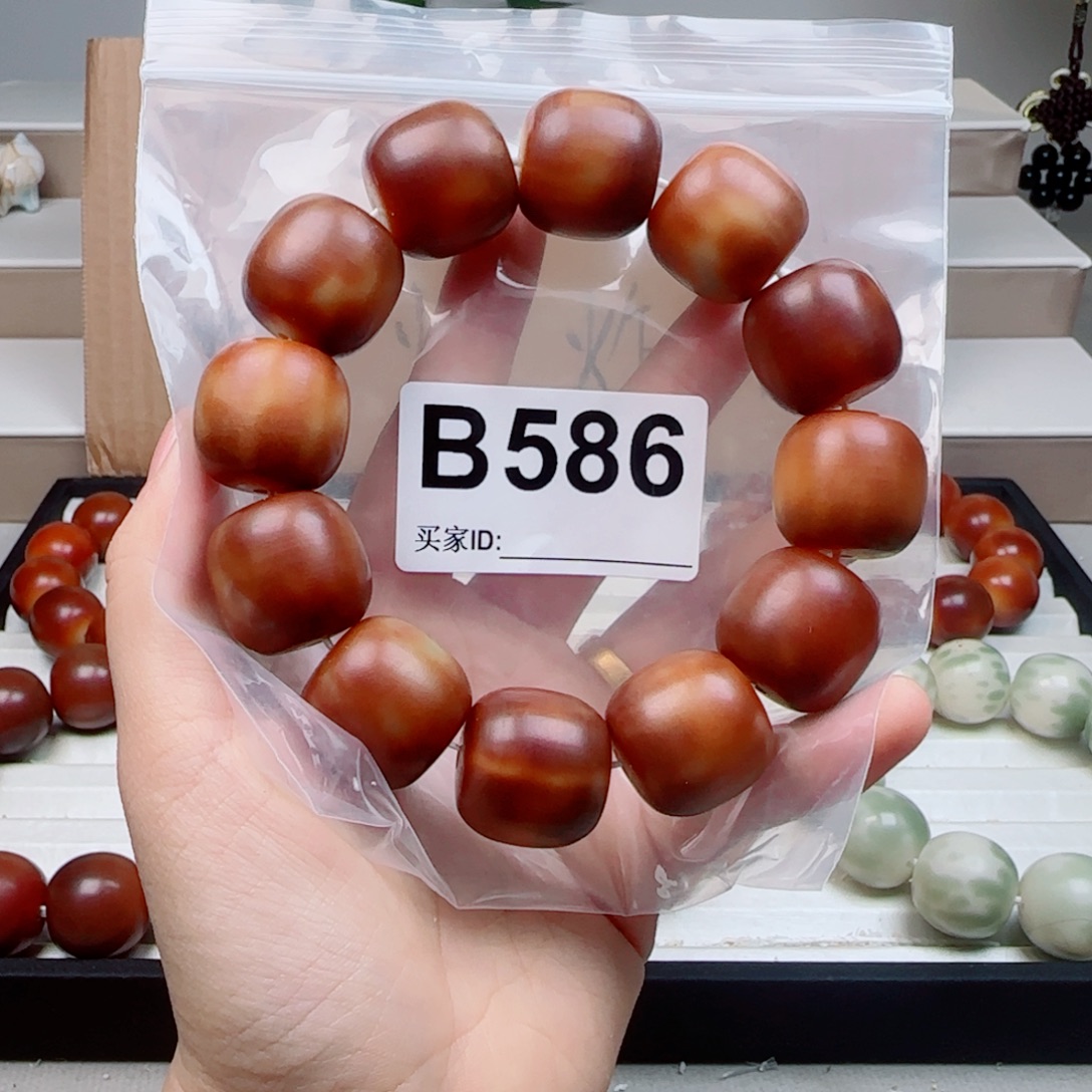 吊坠菩提根/象牙果菩提2.26