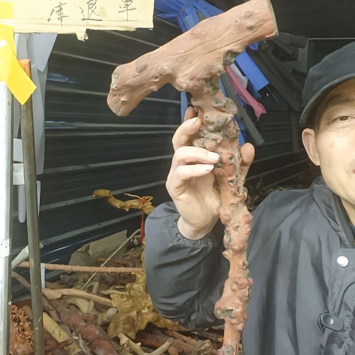 稳定木用****0贵州檬子木   铁马鞭   根艺  半成品