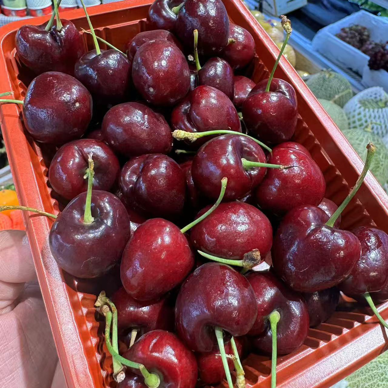 新鲜海运车厘子 3J 300克 内附果径卡桑提娜智利