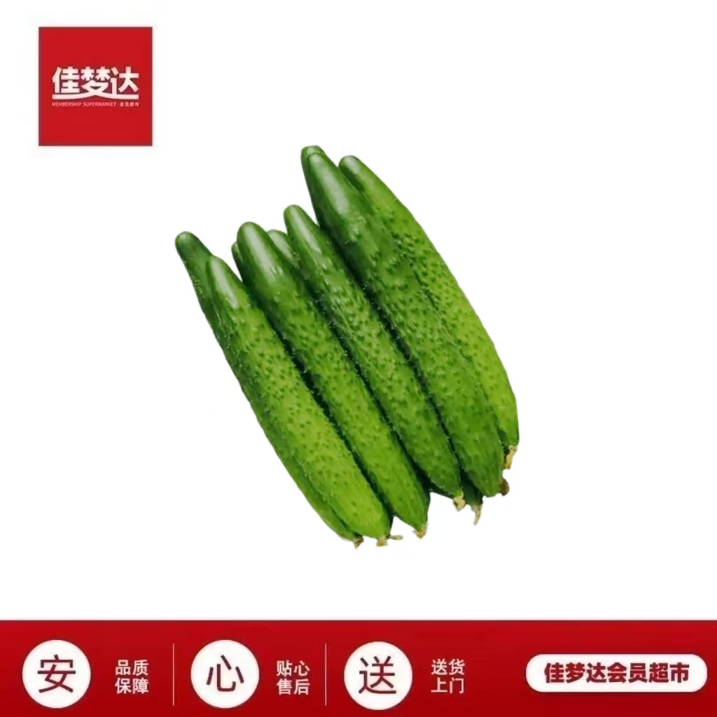 姜大光水黄瓜 同城配送