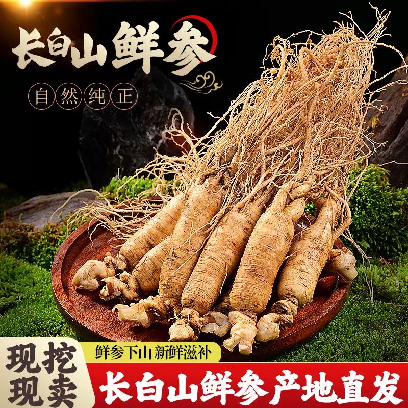 长白山新鲜园子参 原产地发货 直播改价链接