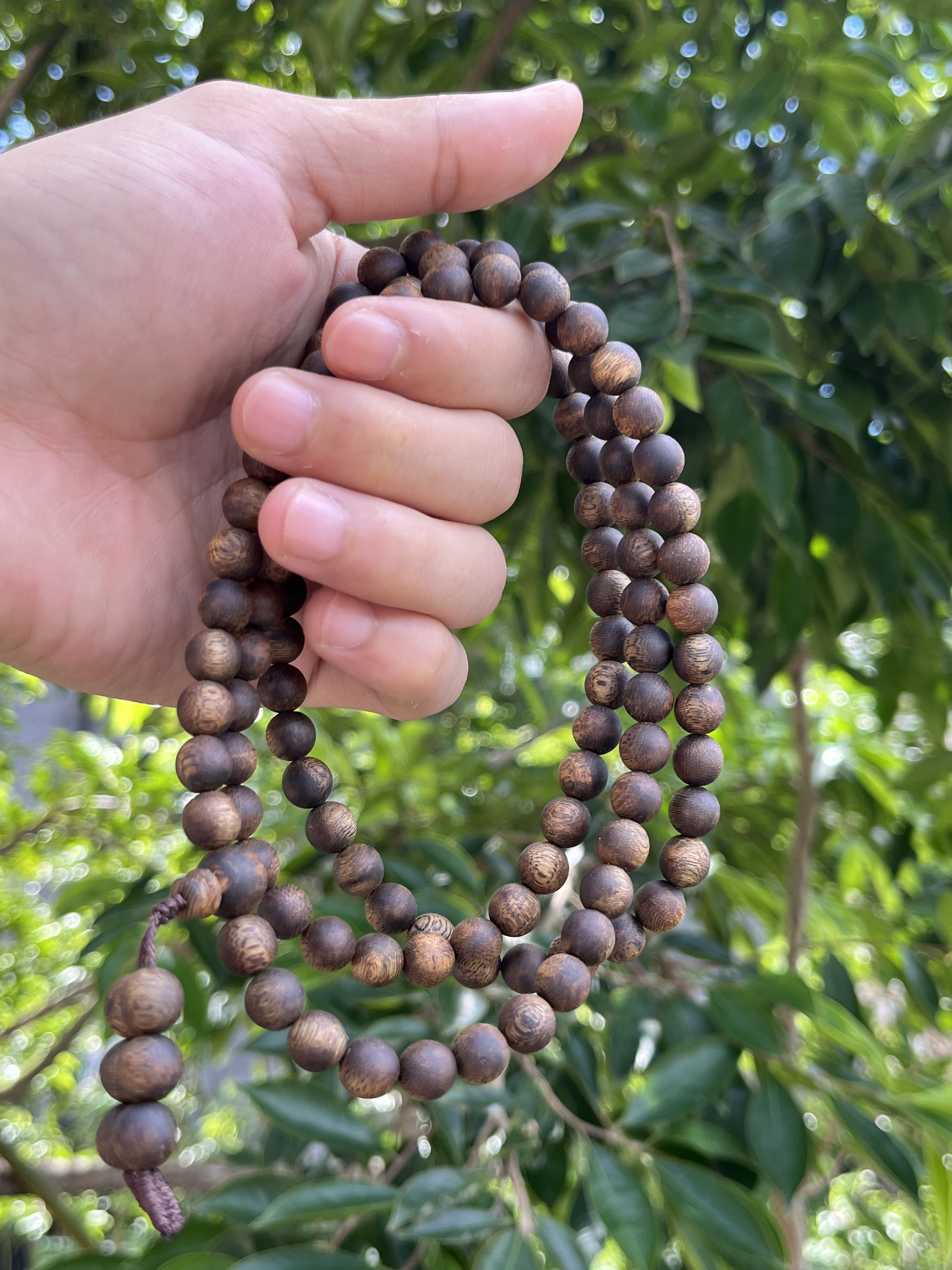 沉香【谢掌柜】08多圈绿奇楠高油脂24克加多样性发一