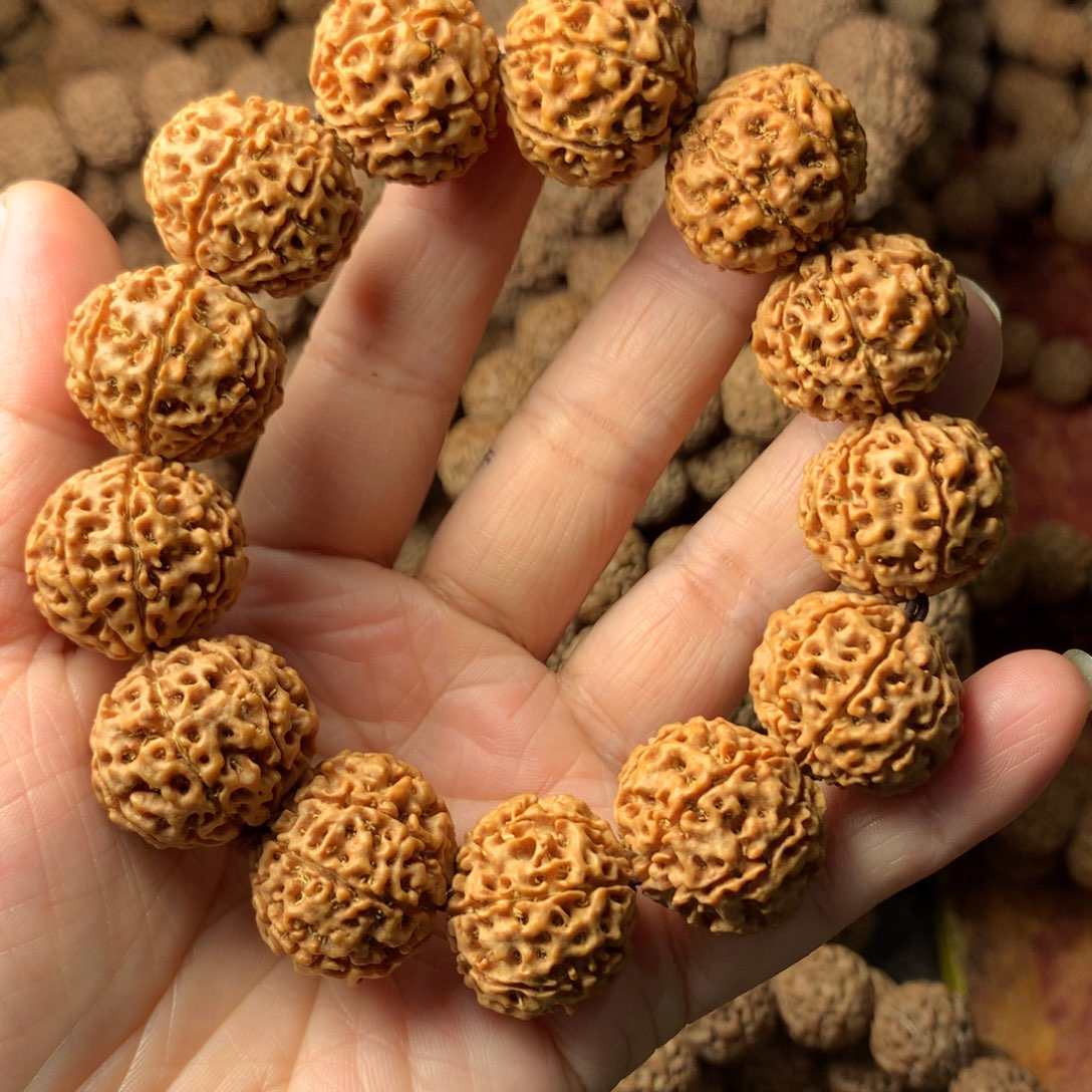 手串金刚菩提7瓣卡22？编号06