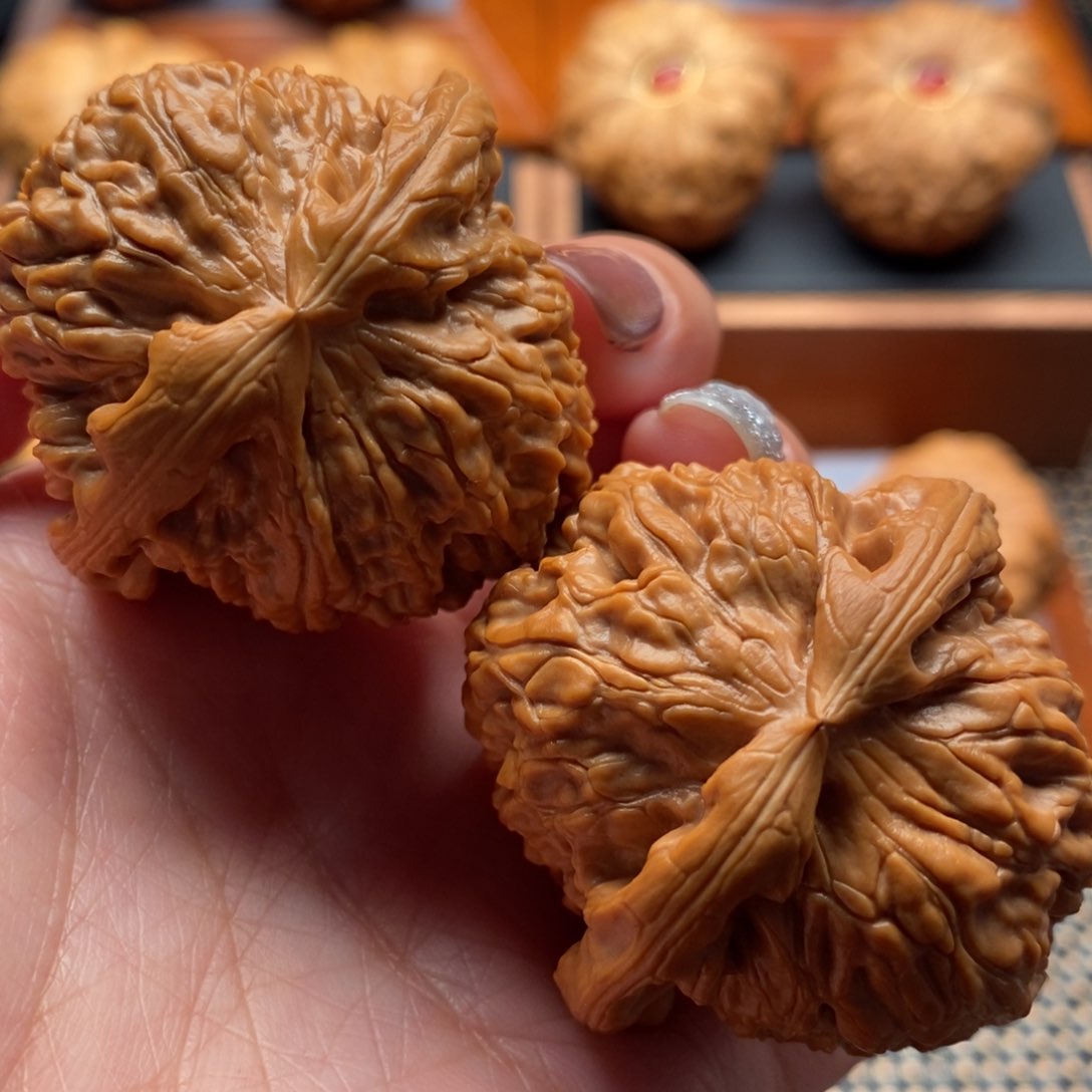 文玩核桃把件43尺寸白狮子