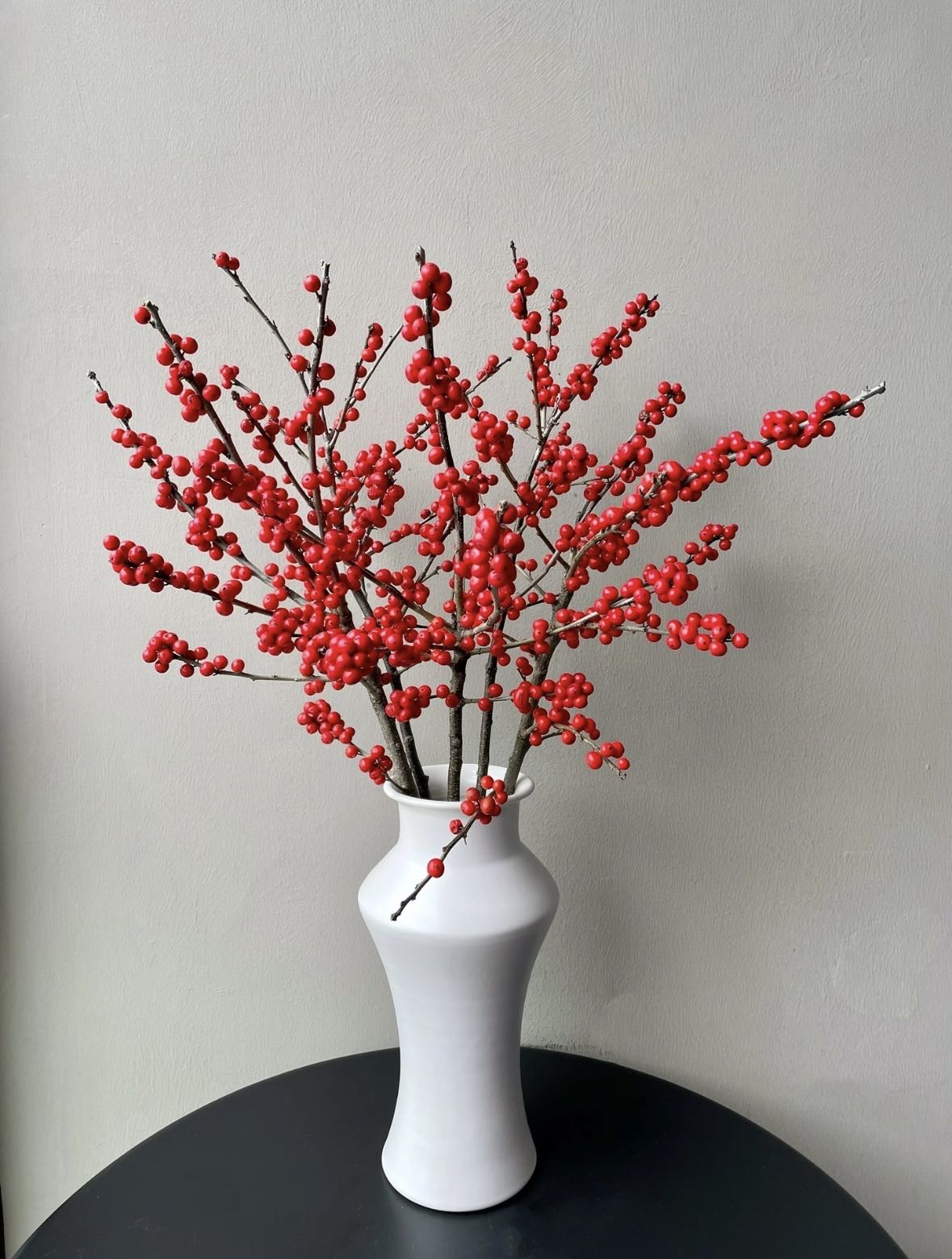 冬青5枝（圣诞  春节 元宵节必备）