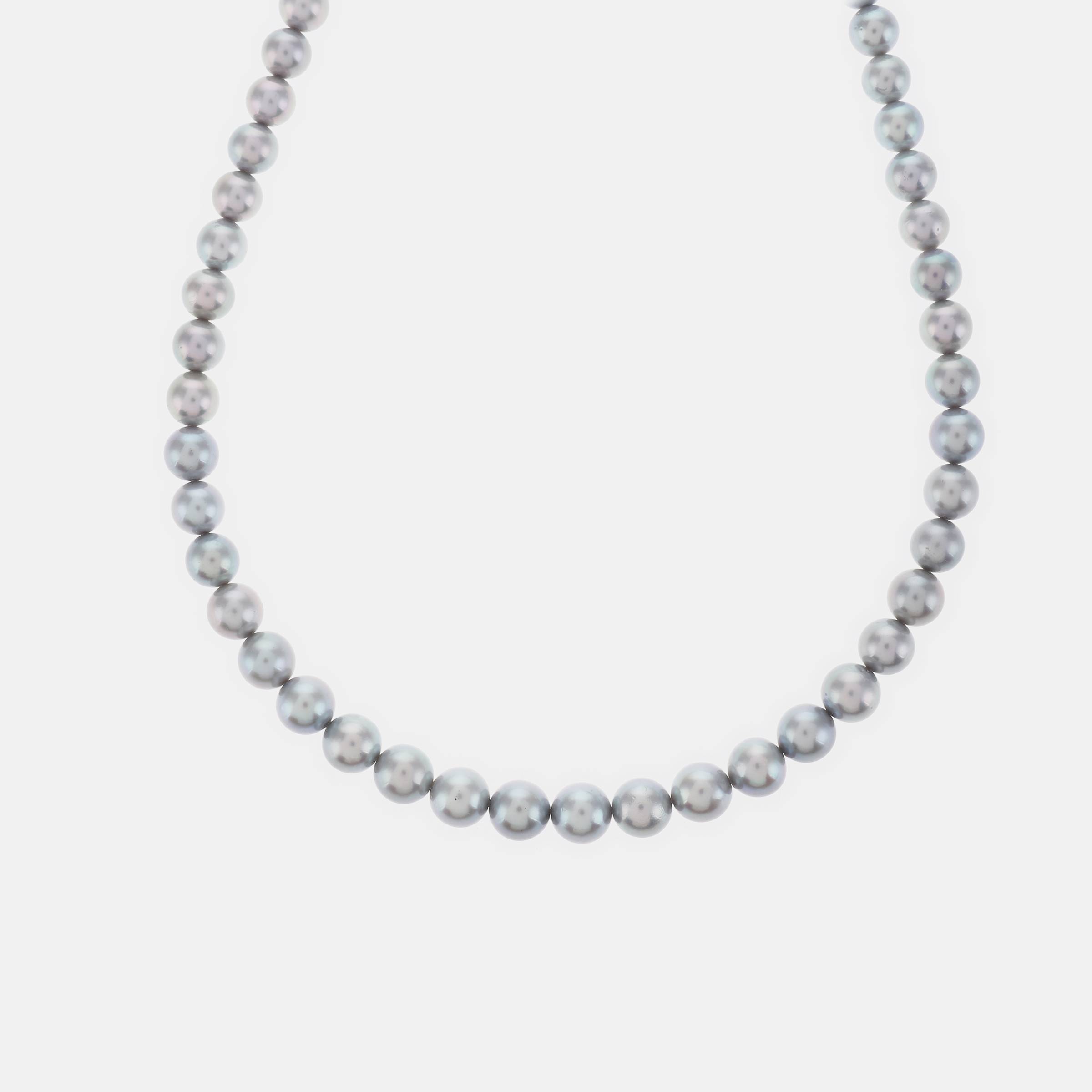 红布林/A2/塔思琦/81885550/z/121711