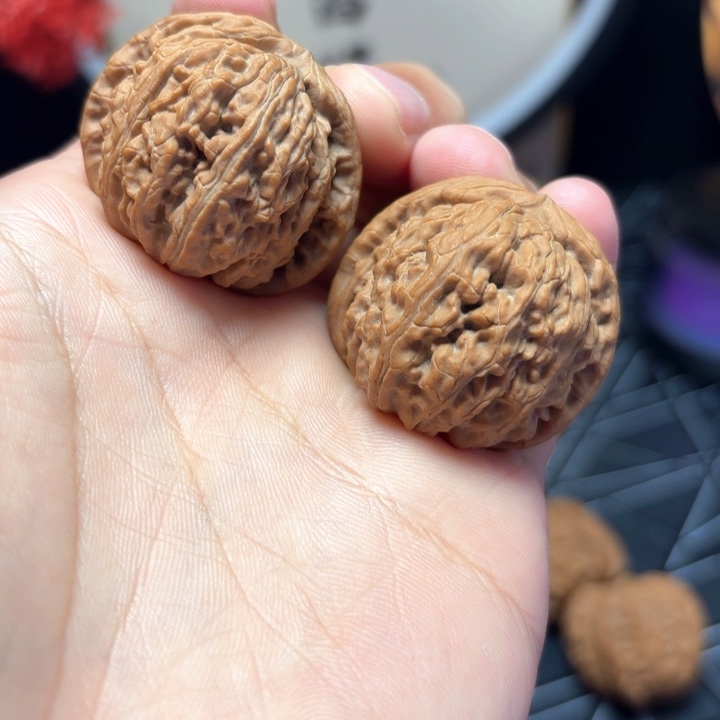 知***言文玩核桃把件36尺全品白狮子