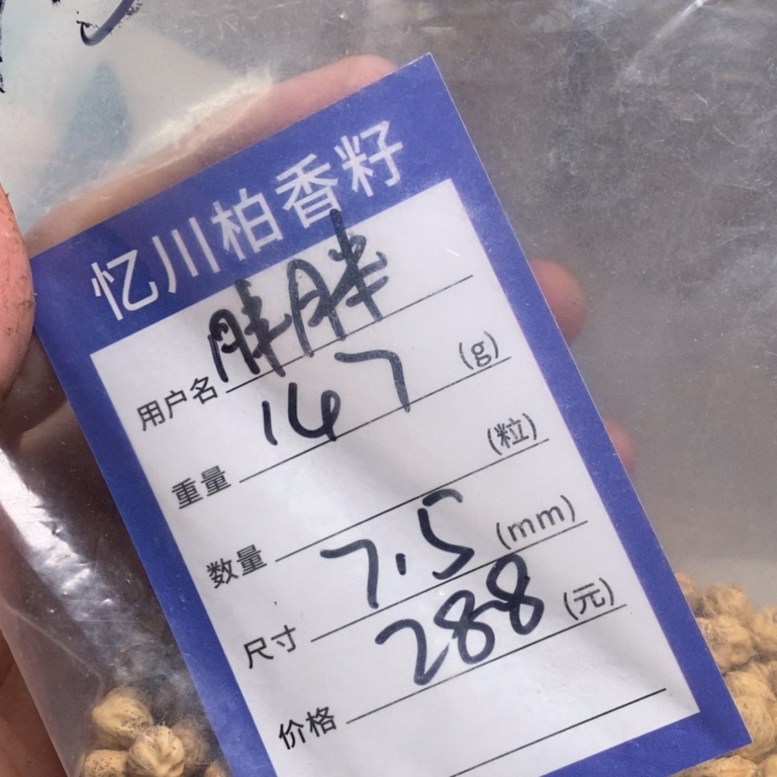 柏香籽/百香籽吊坠胖***我