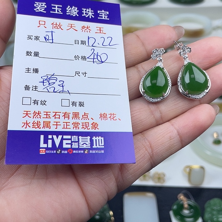 可****和田玉（碧玉）银S925镶嵌珠宝奇石耳环