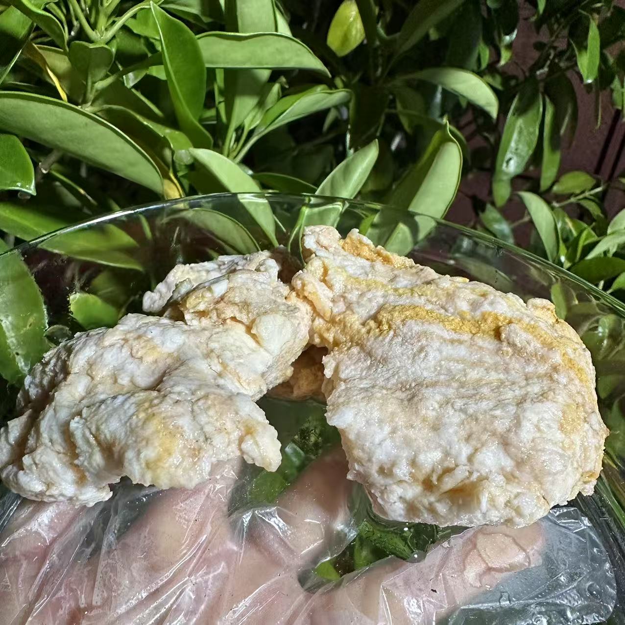 1【天-然-石-太-岁】净含量50g-1500g【阿虎现收】菌