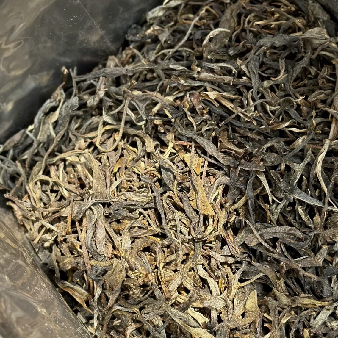 2025年马鞍山古树头春混采茶叶