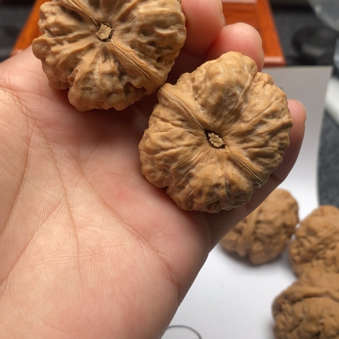 洪***晟好的我真的是一个很喜欢的人是