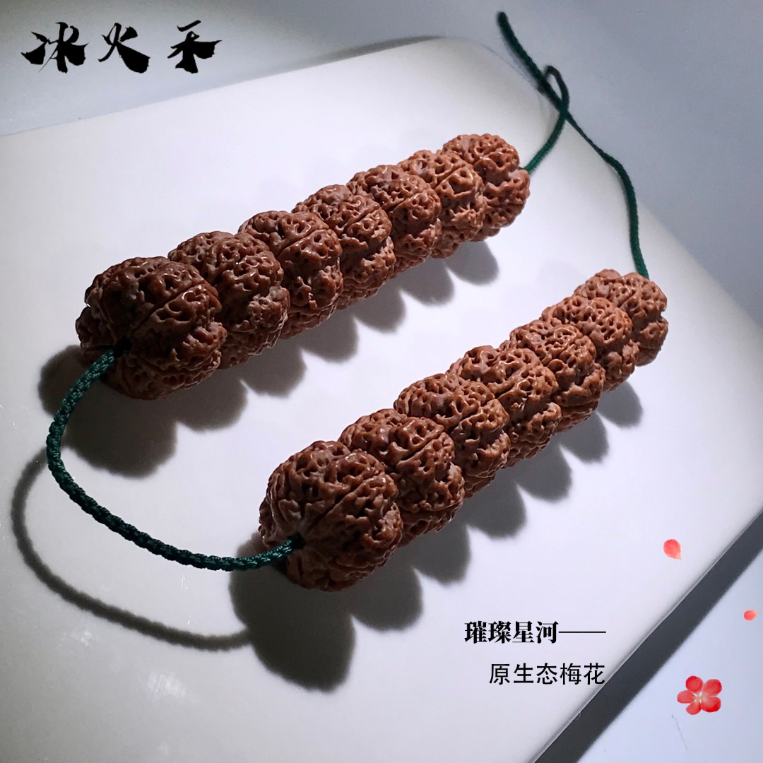 【冰火禾·璀璨星河·原生态梅花】尼泊尔大金刚菩提