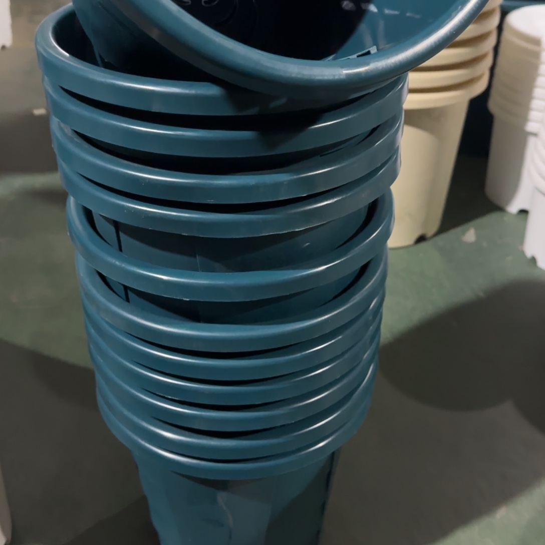 树脂编号。1603。      