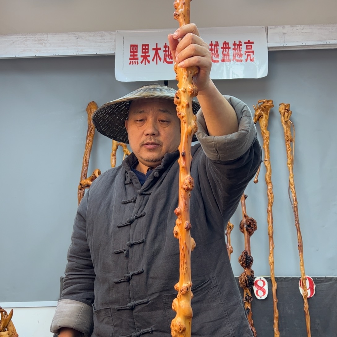 黑果木其他龙*魂黑果木686