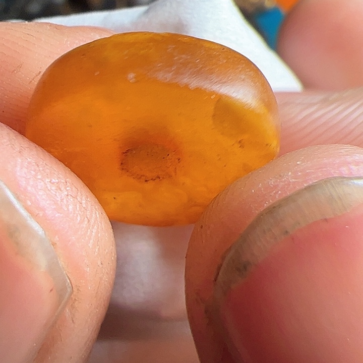 香榧木你的时候你是