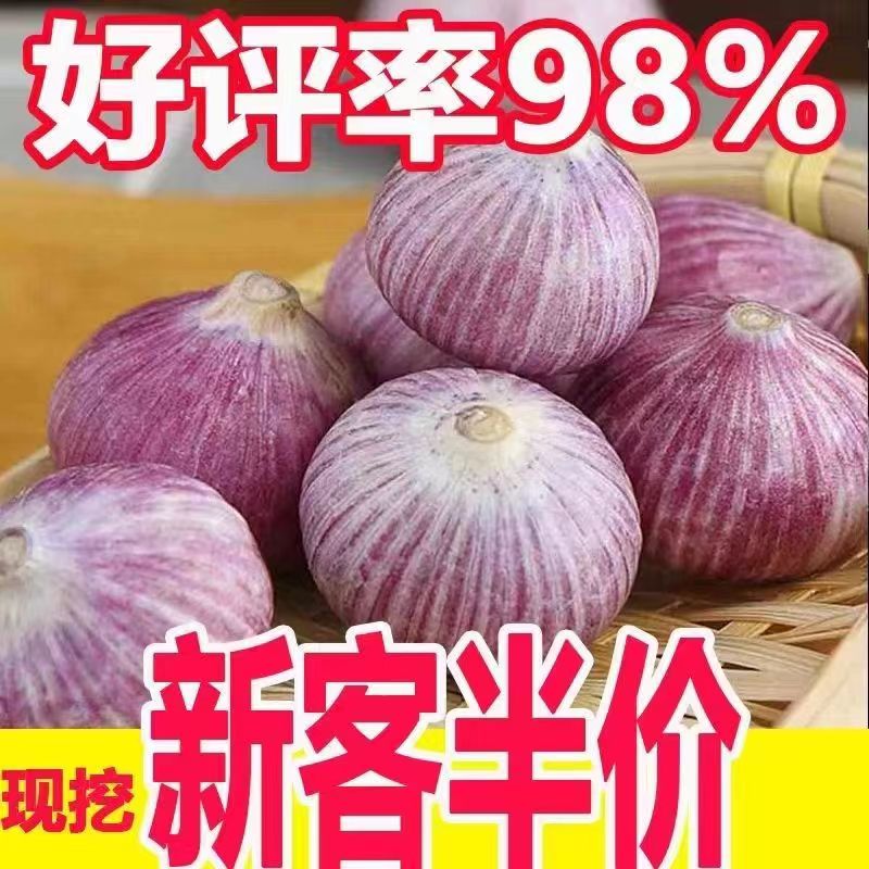 【新店半价】正宗紫皮独头蒜大蒜头新晒干蒜批发2/3/5斤包邮