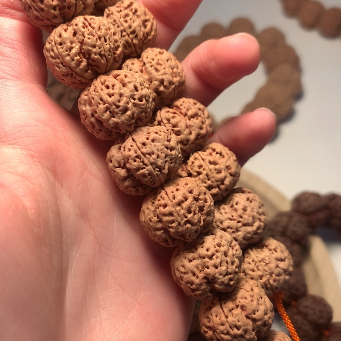 金刚菩提手串?*山20龙牙梅花超头