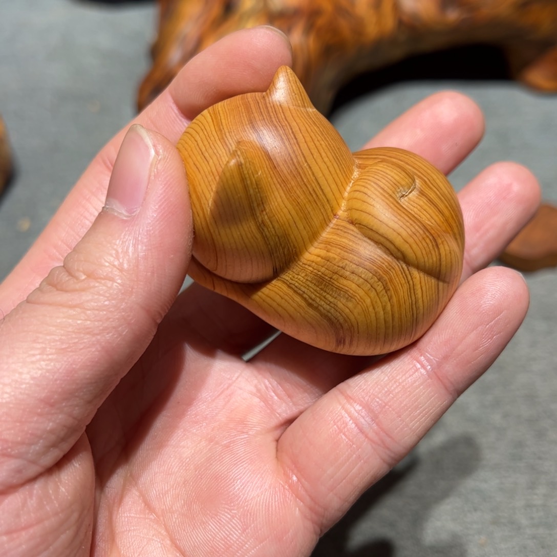 太行崖柏陈化太行