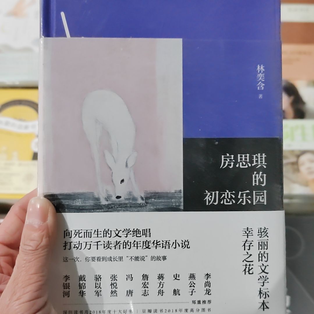 房思琪的初恋乐园
