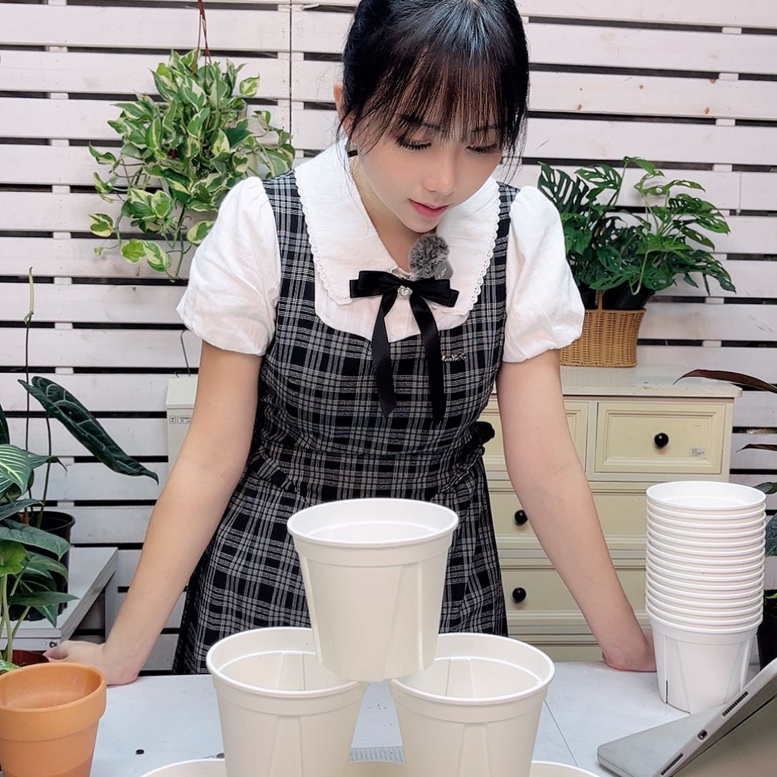 无花朵0.3加仑盆8个