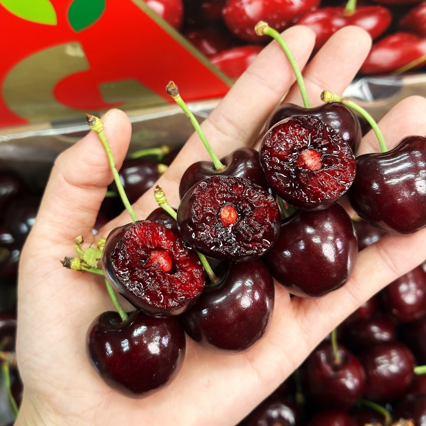 硬货推荐•吉制空运桑提娜3JD车厘子一斤装内附果径卡桑提娜智利