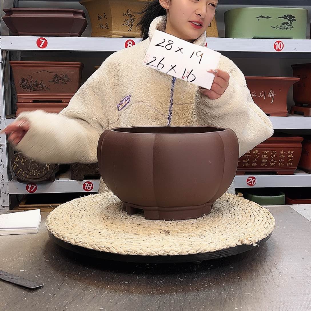 紫砂花盆紫砂花盆