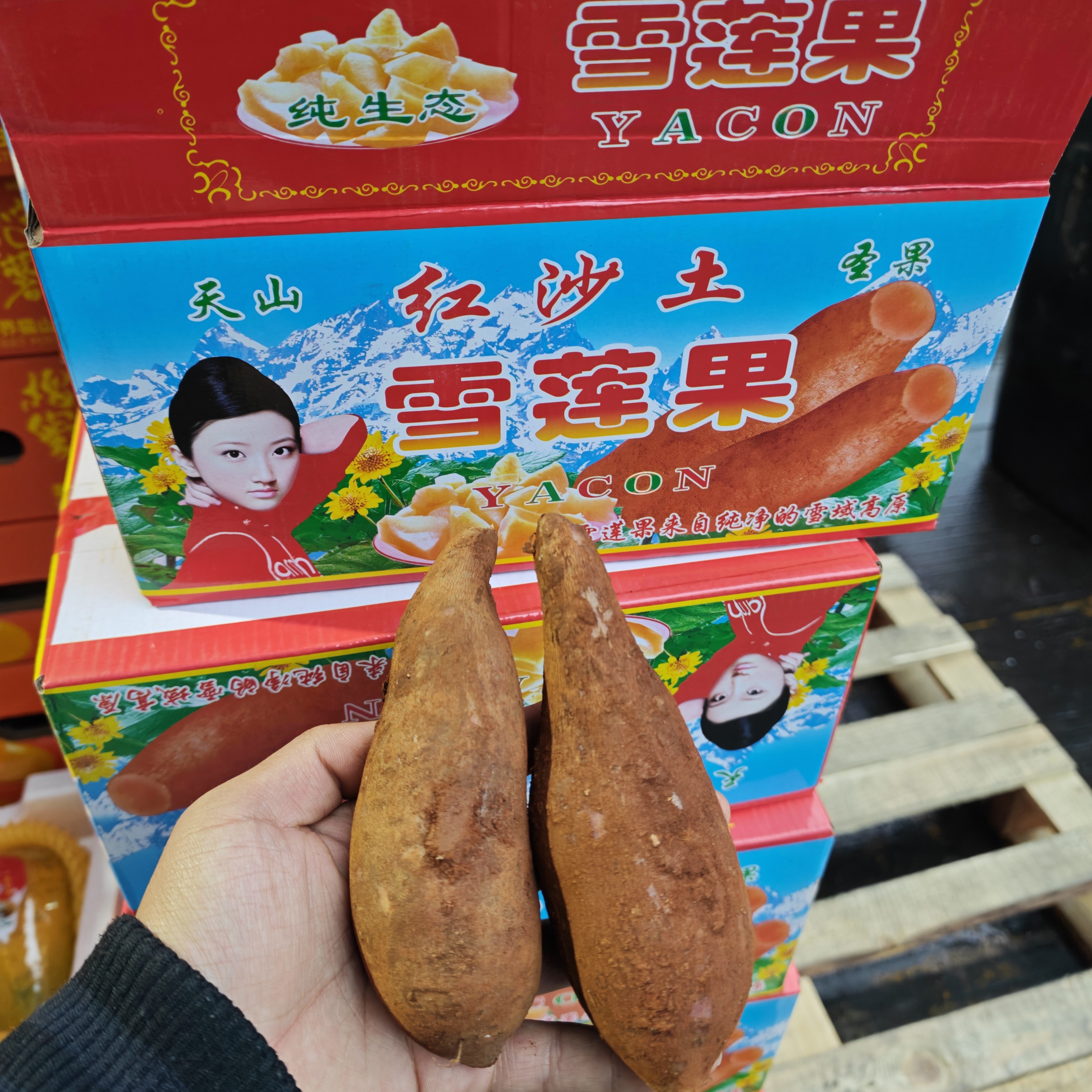 云南天山雪莲果新鲜到手2箱 10斤