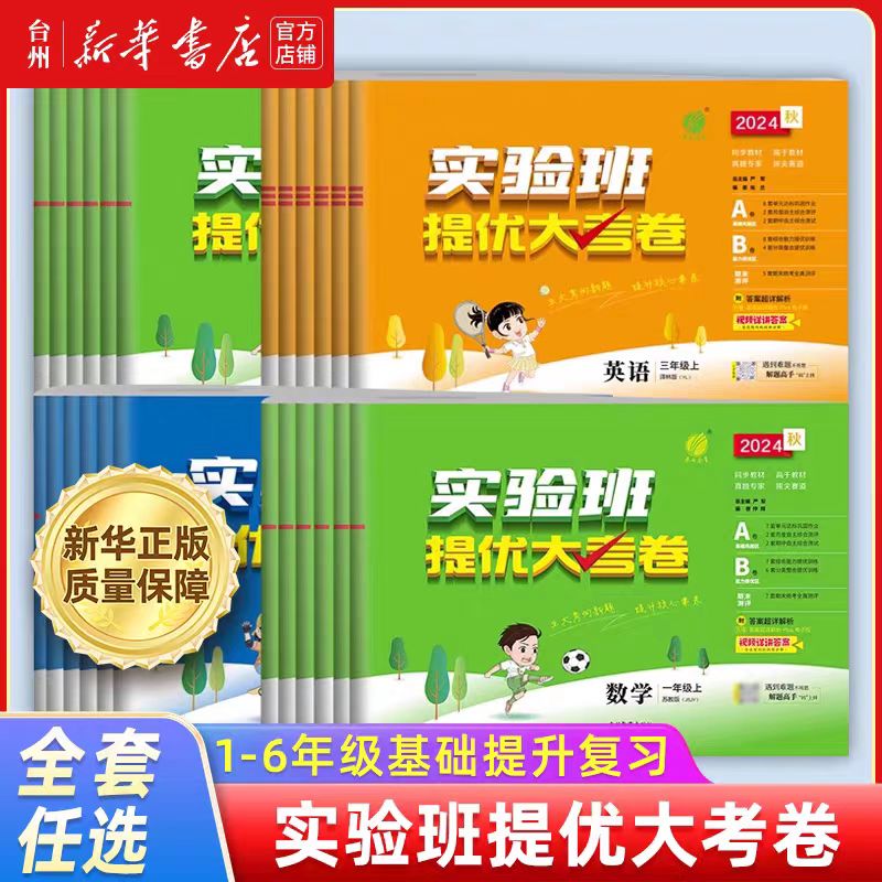 实验班提优大考卷  小学下册 