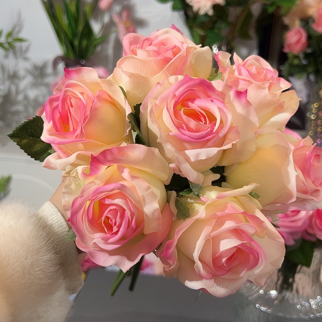 1束奶粉艾莎玫瑰花。        