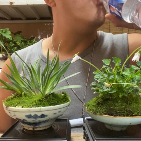 红陶一物一拍所见即所得19