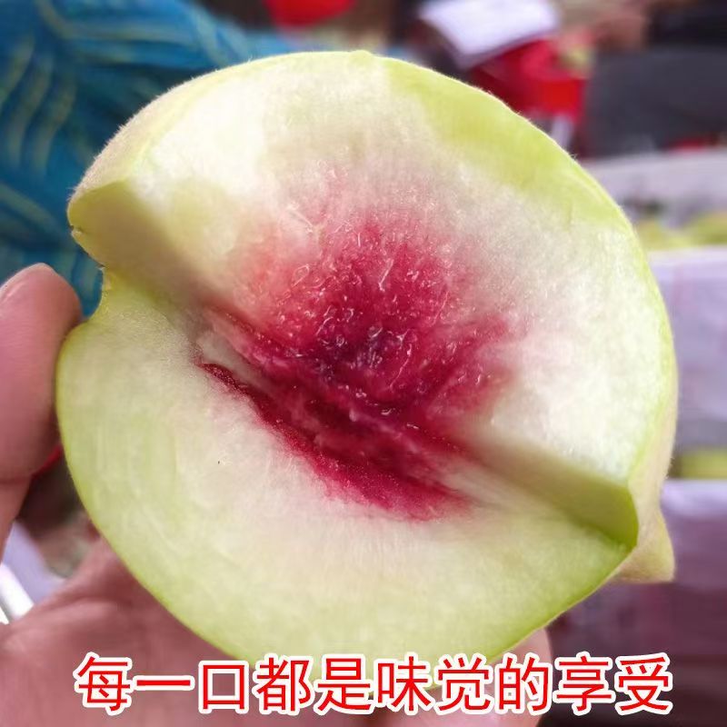 【小果】正宗广东连平上坪鹰嘴蜜桃新鲜现摘脆甜爽口当季水果