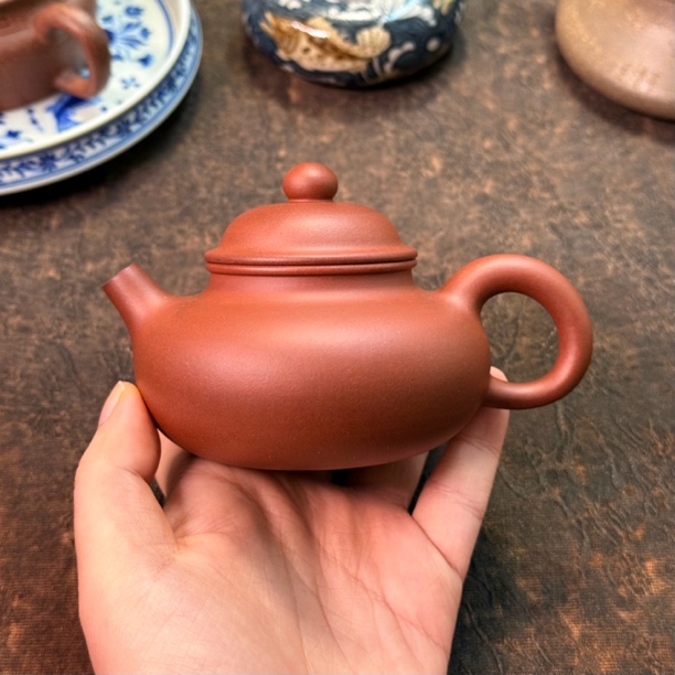 容天·壶｜精调红皮龙｜150cc｜精工半手圆壶