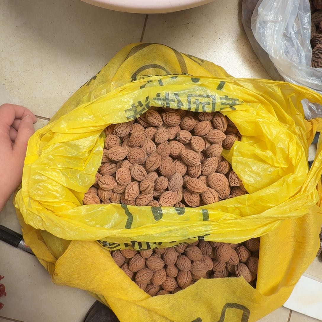 精品野生毛桃核特价处理1.5斤