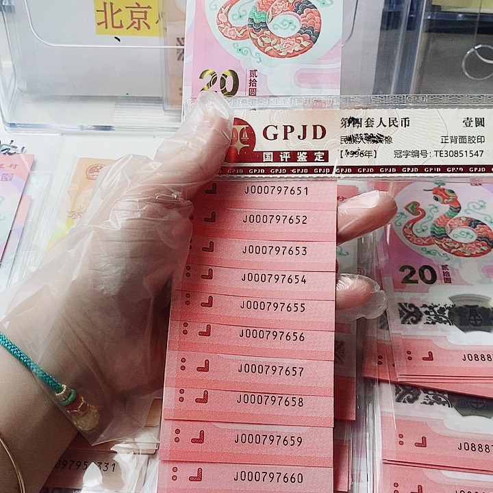 塑料蛇钞标十000797651小司令全大号